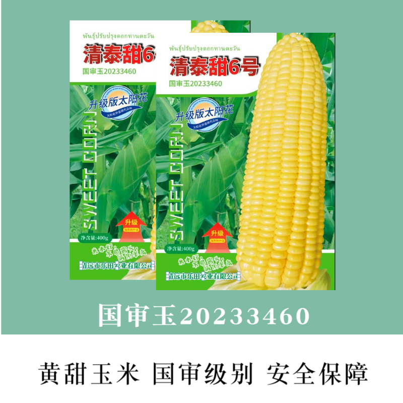 清泰甜6号国审大包装甜玉米种子升级版太阳花甜玉米种籽杂