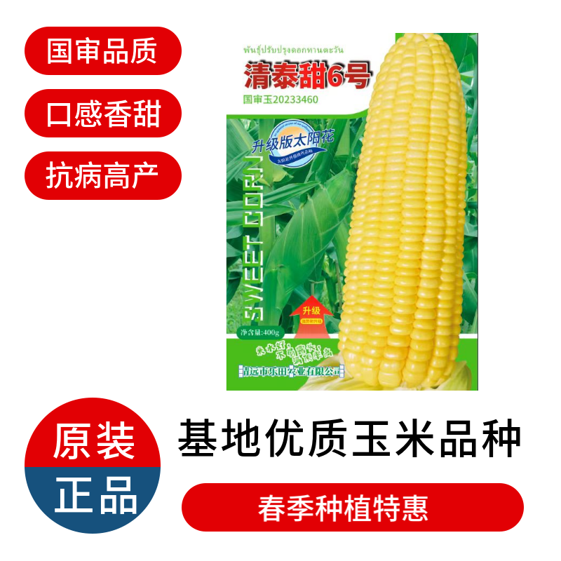 清泰甜6号国审大包装甜玉米种子升级版太阳花甜玉米种籽杂