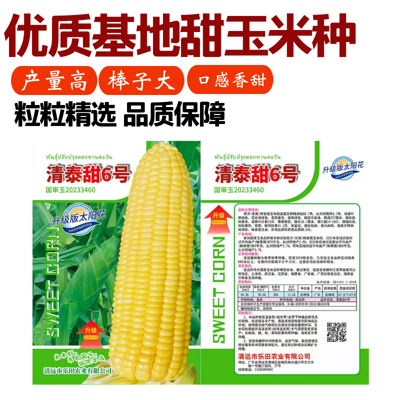 清泰甜6号国审大包装甜玉米种子升级版太阳花甜玉米种籽杂