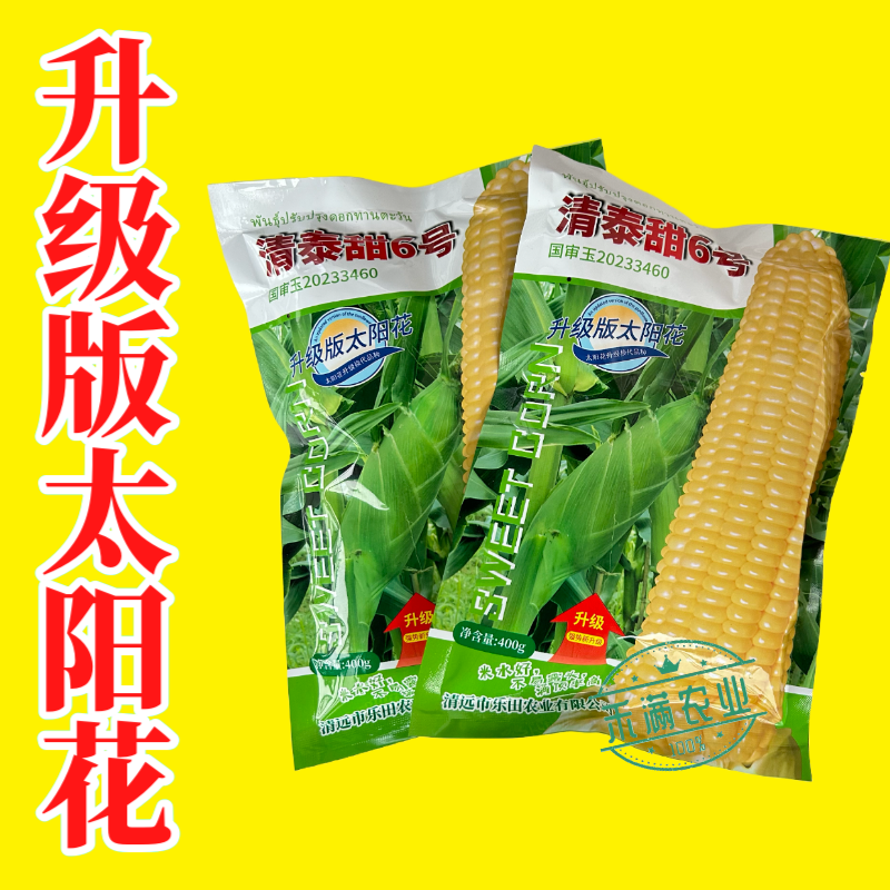 清泰甜6号国审大包装甜玉米种子升级版太阳花甜玉米种籽杂