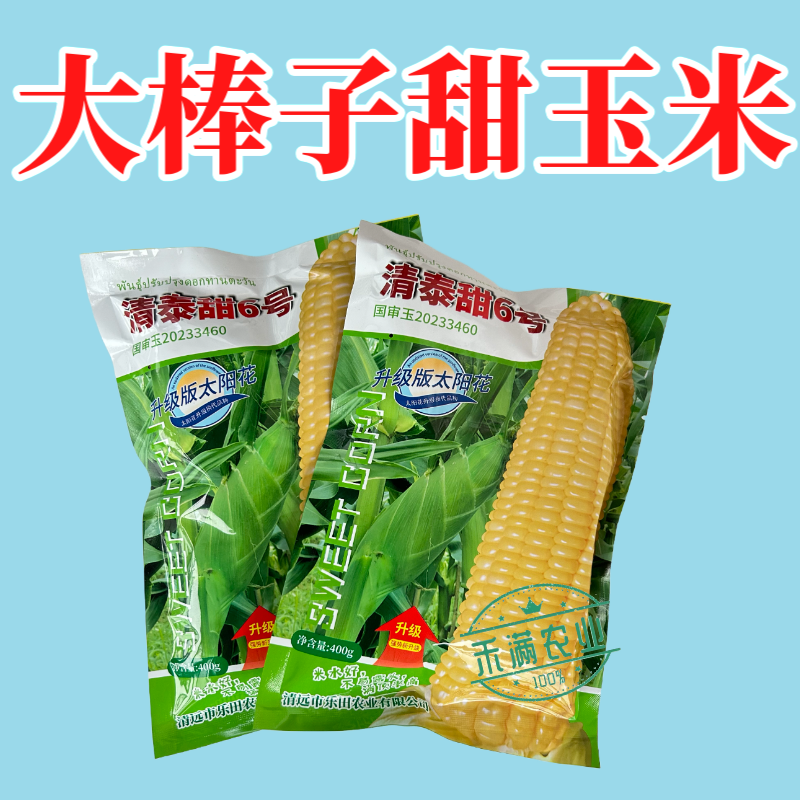清泰甜6号国审大包装甜玉米种子升级版太阳花甜玉米种籽杂