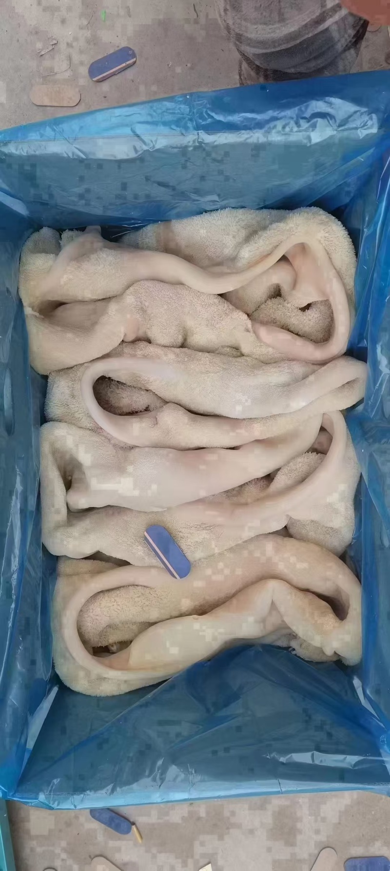牛肚不碱发不泡发全网低价手工熬制保鲜发货