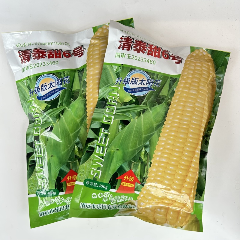 清泰甜6号国审大包装甜玉米种子升级版太阳花甜玉米种籽杂