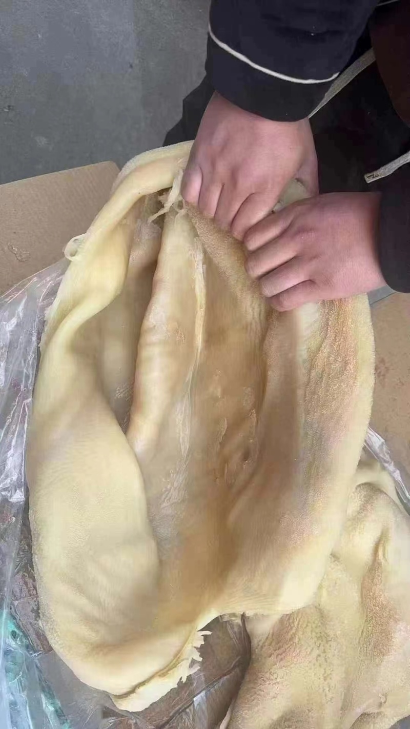牛肚不碱发不泡发全网低价手工熬制保鲜发货