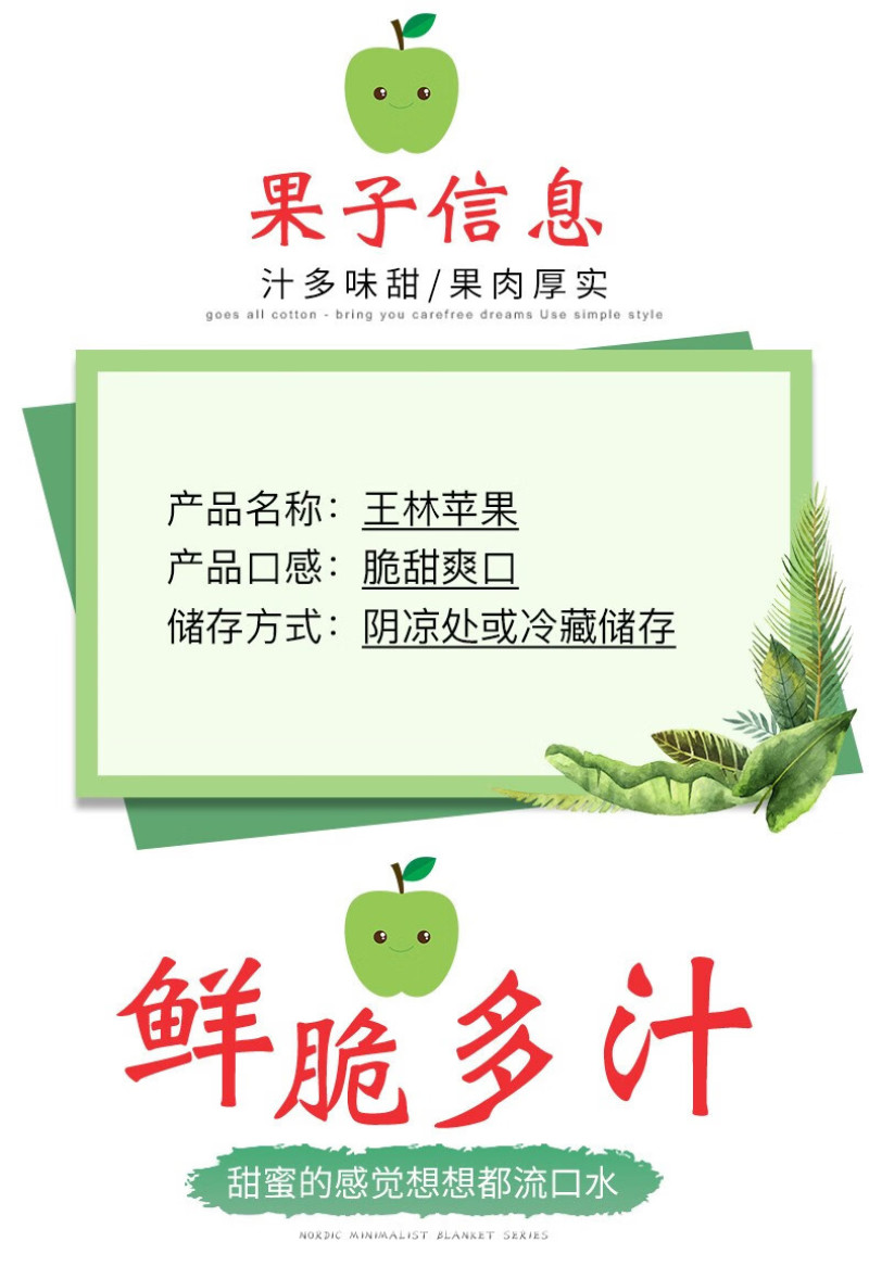 河北王林苹果一件代发产地直发一手货源对接各大电商平台
