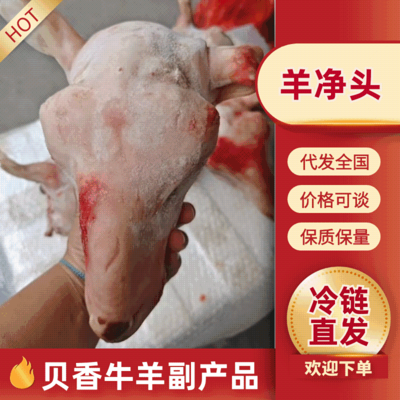 羔羊净头爆卖闪电发货冷链发货整只2.5-4斤无毛