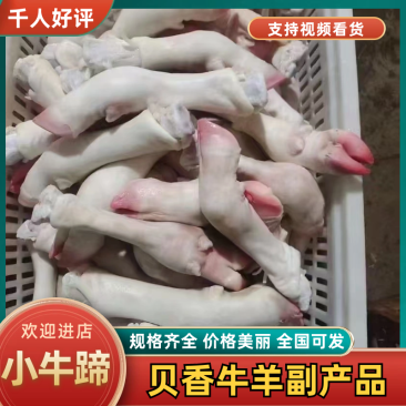 小牛蹄无毛火烧厂家直发质量保证欢迎下单