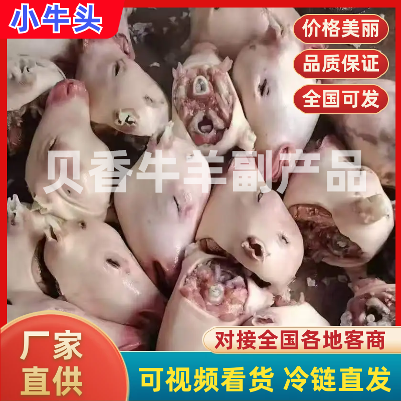 小牛头质量保证价格合理常年供货进店下单