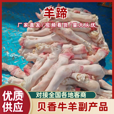 羊蹄干净卫生打包发货按需包装欢迎来电