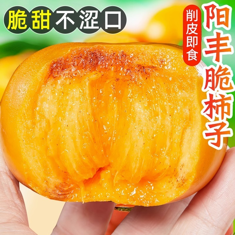 山西阳丰脆柿一件代发产地直发一手货源对接各大电商平台