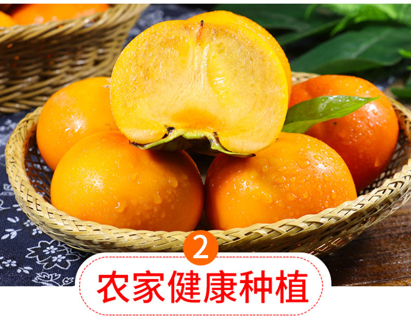山西阳丰脆柿一件代发产地直发一手货源对接各大电商平台