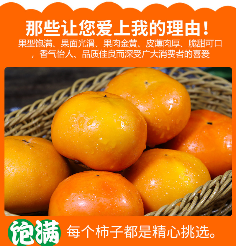山西阳丰脆柿一件代发产地直发一手货源对接各大电商平台