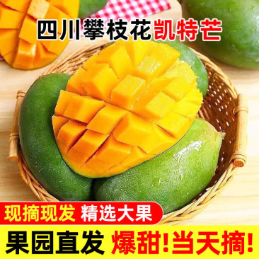 攀枝花凯特芒一件代发产地直发一手货源对接各大电商平台
