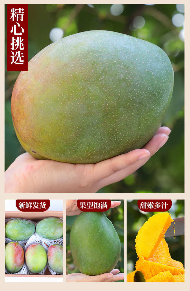 攀枝花凯特芒一件代发产地直发一手货源对接各大电商平台