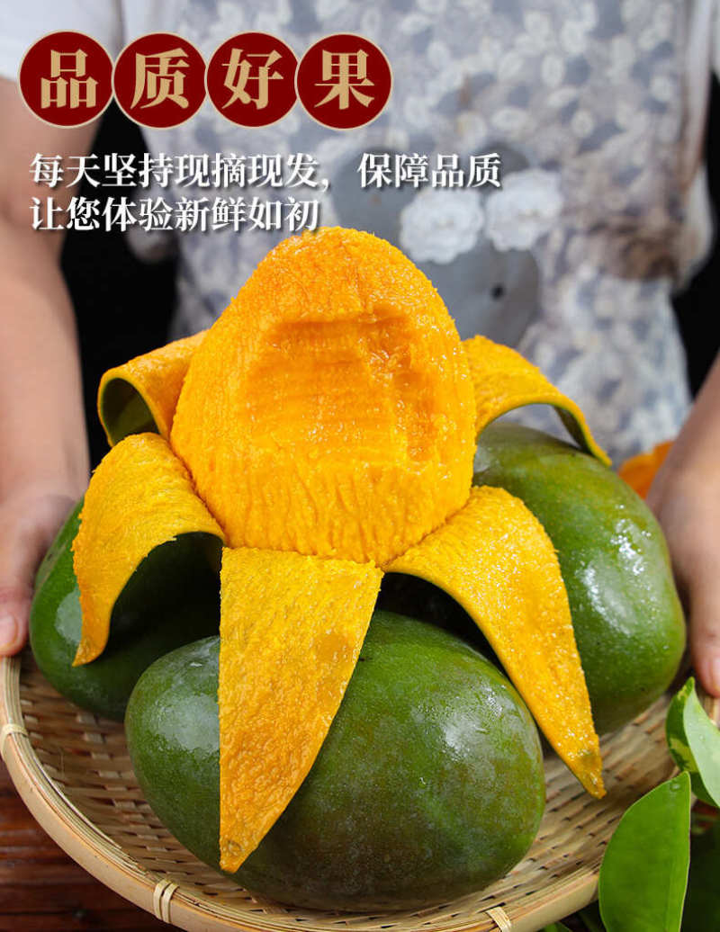 攀枝花凯特芒一件代发产地直发一手货源对接各大电商平台