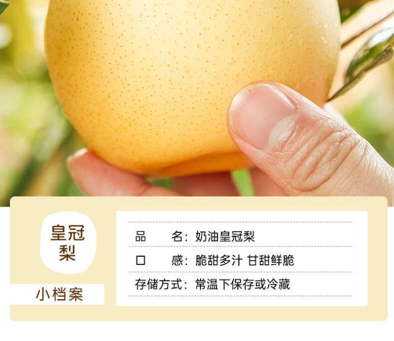 河北白皇冠梨一件代发产地直发一手货源对接各大电商平台