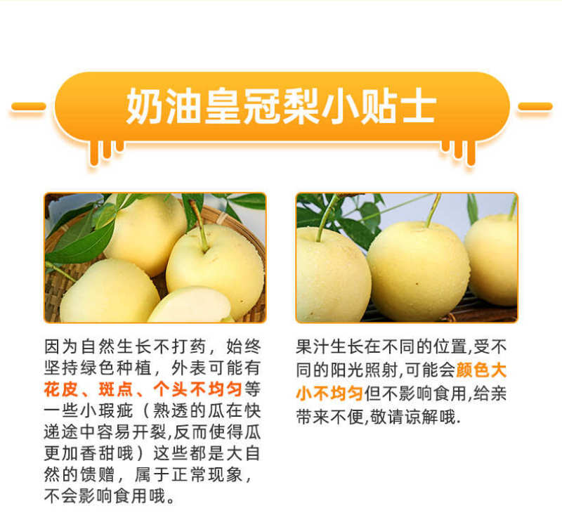 河北白皇冠梨一件代发产地直发一手货源对接各大电商平台