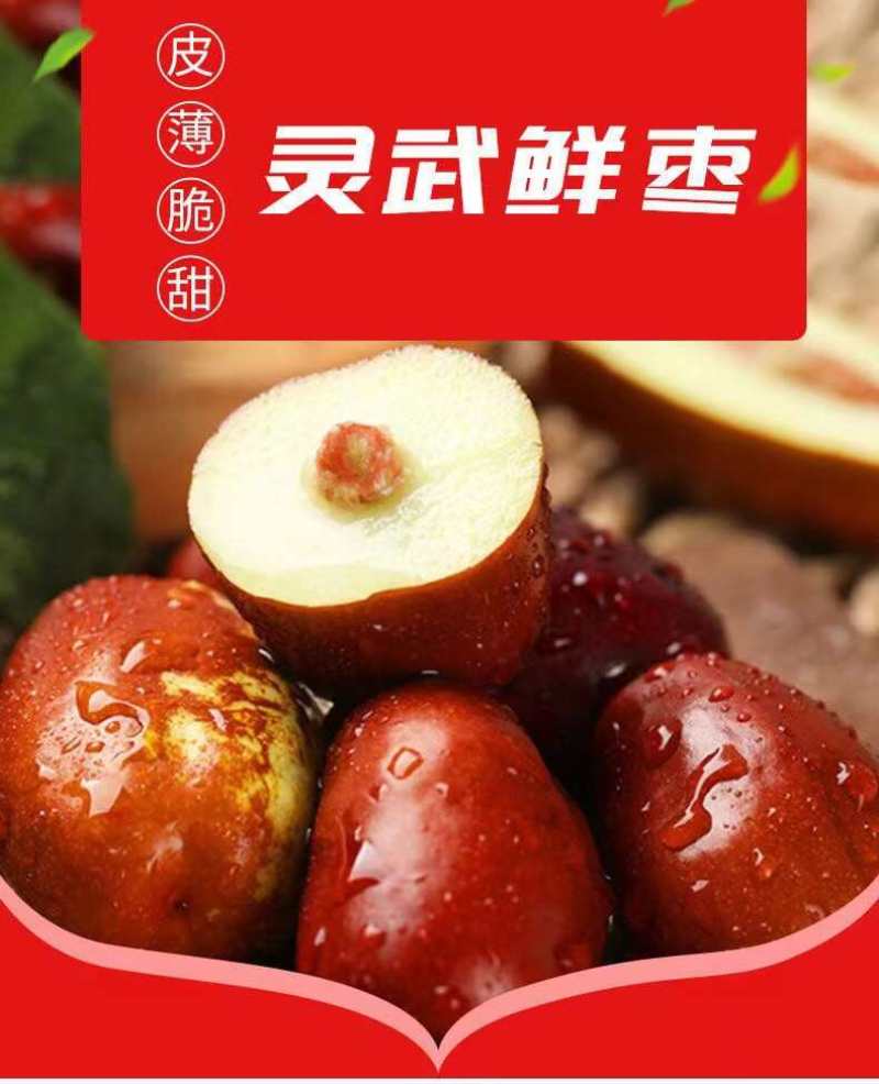 宁夏灵武沙漠长枣一件代发产地直发一手货源对接各大电商平台