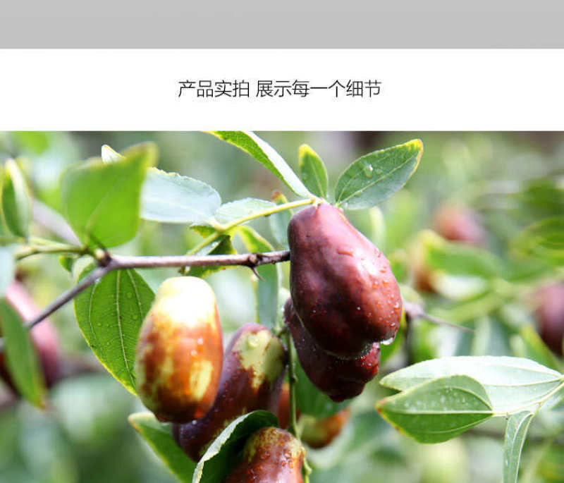 宁夏灵武沙漠长枣一件代发产地直发一手货源对接各大电商平台