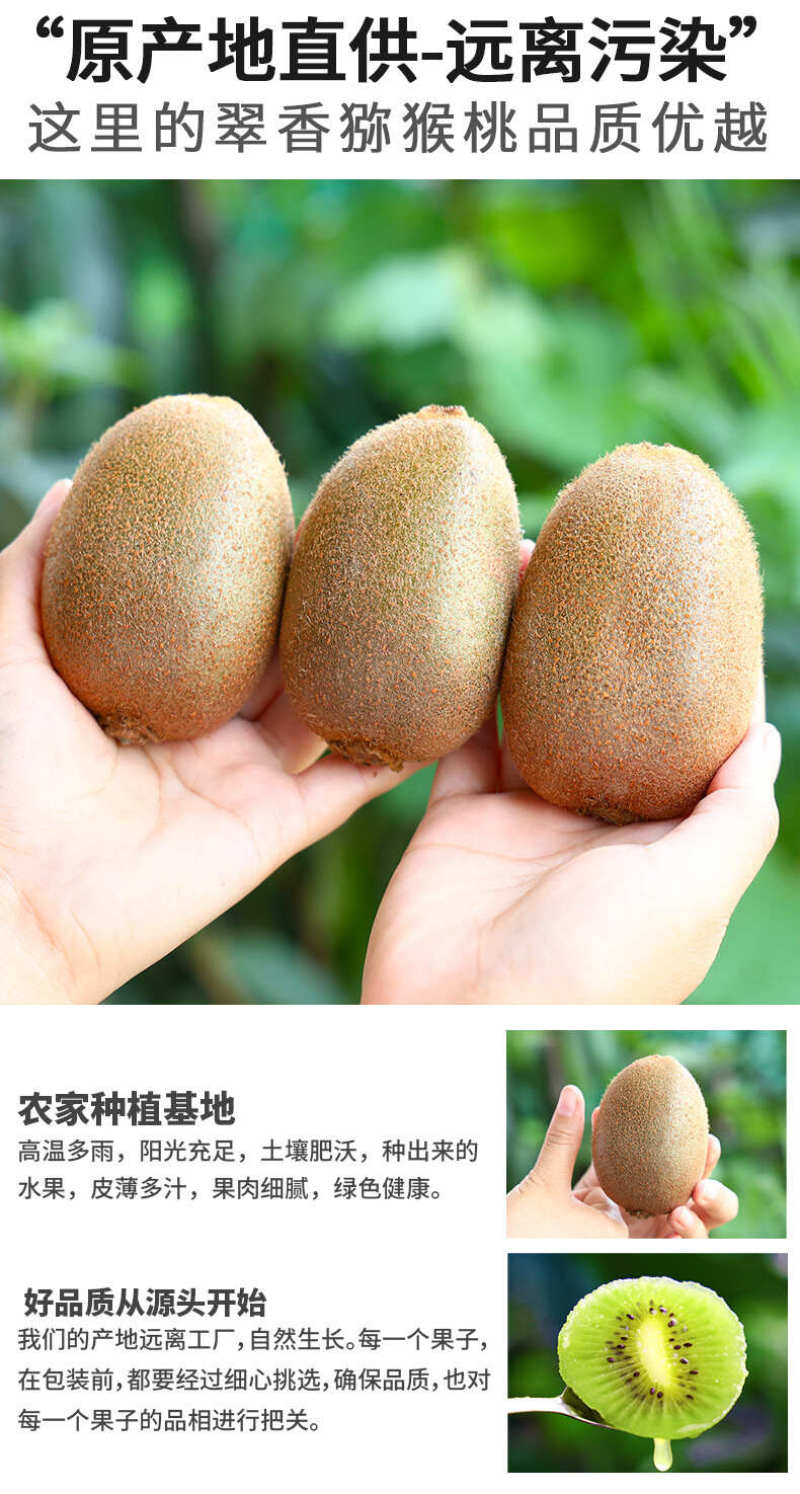 陕西翠香猕猴桃一件代发产地直发一手货源对接各大电商平台