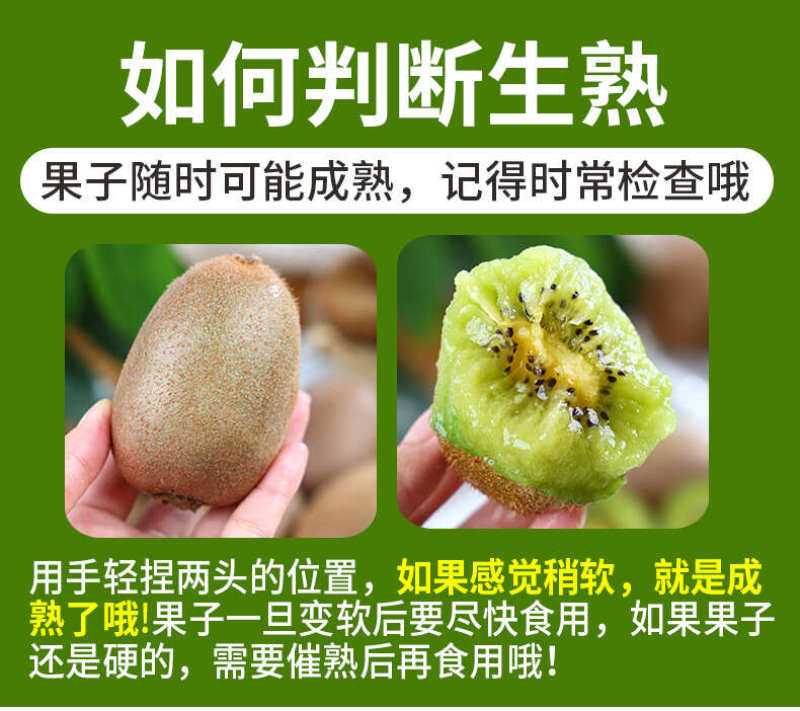 陕西翠香猕猴桃一件代发产地直发一手货源对接各大电商平台