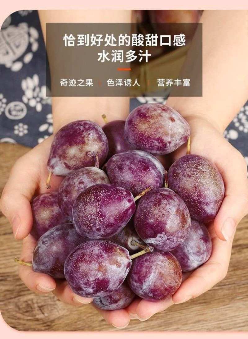 新疆法兰西西梅一件代发产地直发一手货源对接各大电商平台