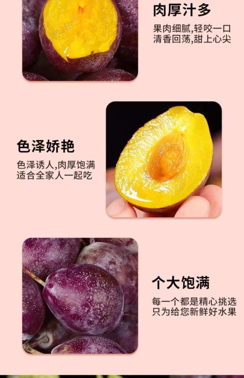 新疆法兰西西梅一件代发产地直发一手货源对接各大电商平台