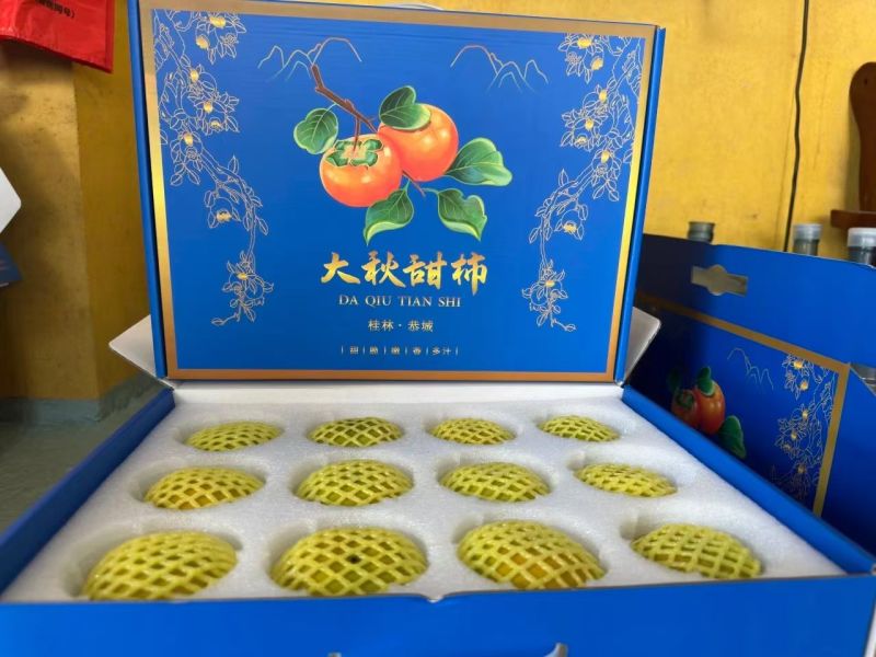 广西精品大秋甜柿大量上市产地现摘现发脆甜多汁欢迎来电