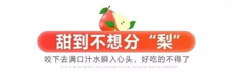 陕西彩虹梨一件代发产地直发一手货源对接各大电商平台