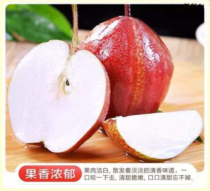 陕西彩虹梨一件代发产地直发一手货源对接各大电商平台