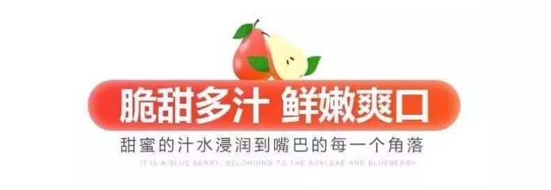 陕西彩虹梨一件代发产地直发一手货源对接各大电商平台