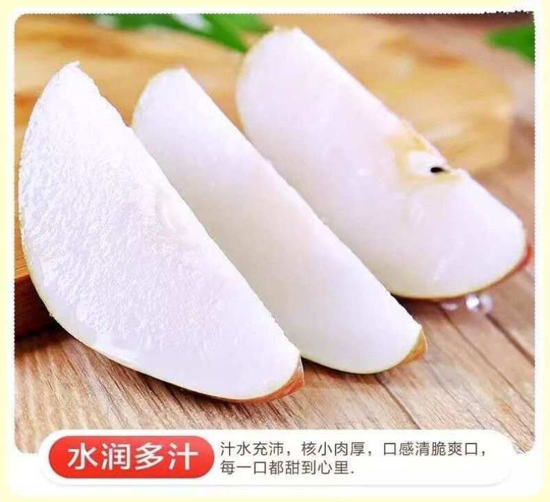 陕西彩虹梨一件代发产地直发一手货源对接各大电商平台