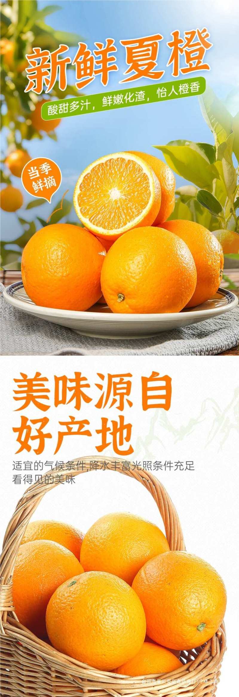 湖北秭归夏橙一件代发产地直发一手货源对接各大电商平台