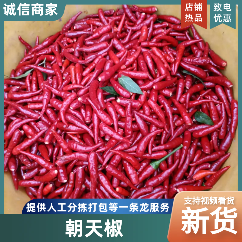 【精品】朝天椒满天星辣椒货源充足价格实惠欢迎采购