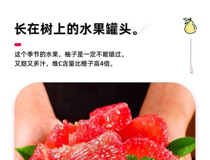 福建三红柚一件代发产地直发一手货源对接各大电商平台