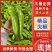 河南内黄尖椒大量上市了！欢迎新老客户前来选购！