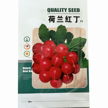 荷兰红丁樱桃萝卜种子四季种植生长快基地品种