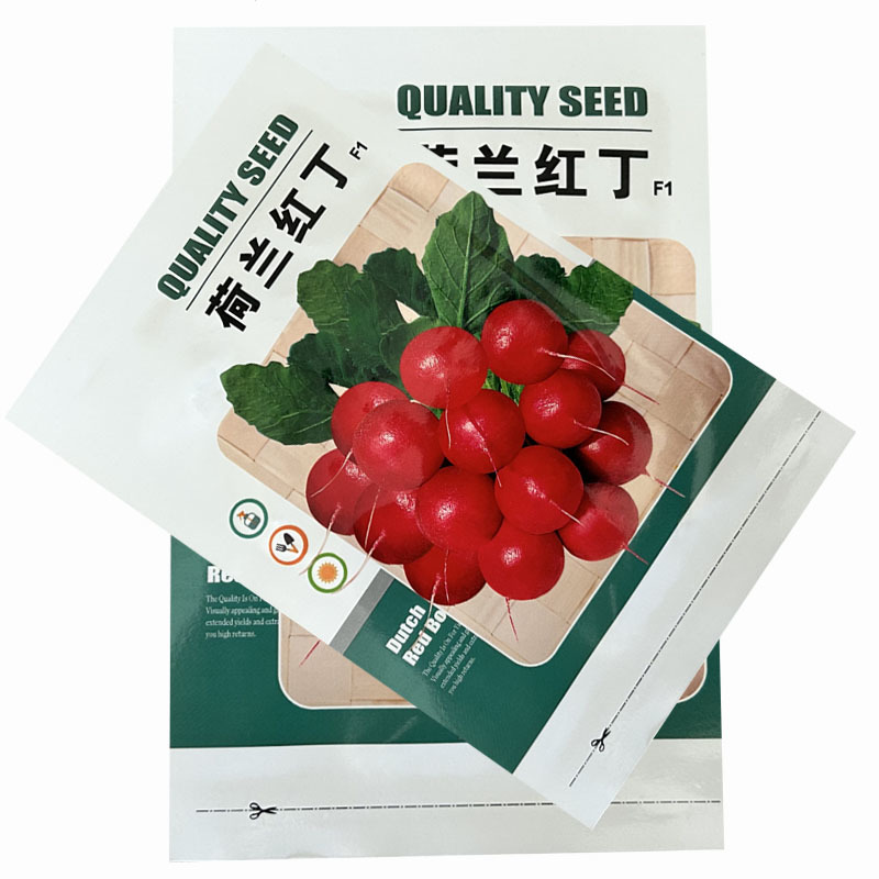 荷兰红丁樱桃萝卜种子四季种植生长快基地品种