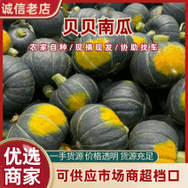 【实力】贝贝南瓜内蒙古南瓜精品南瓜规格齐全大量供应