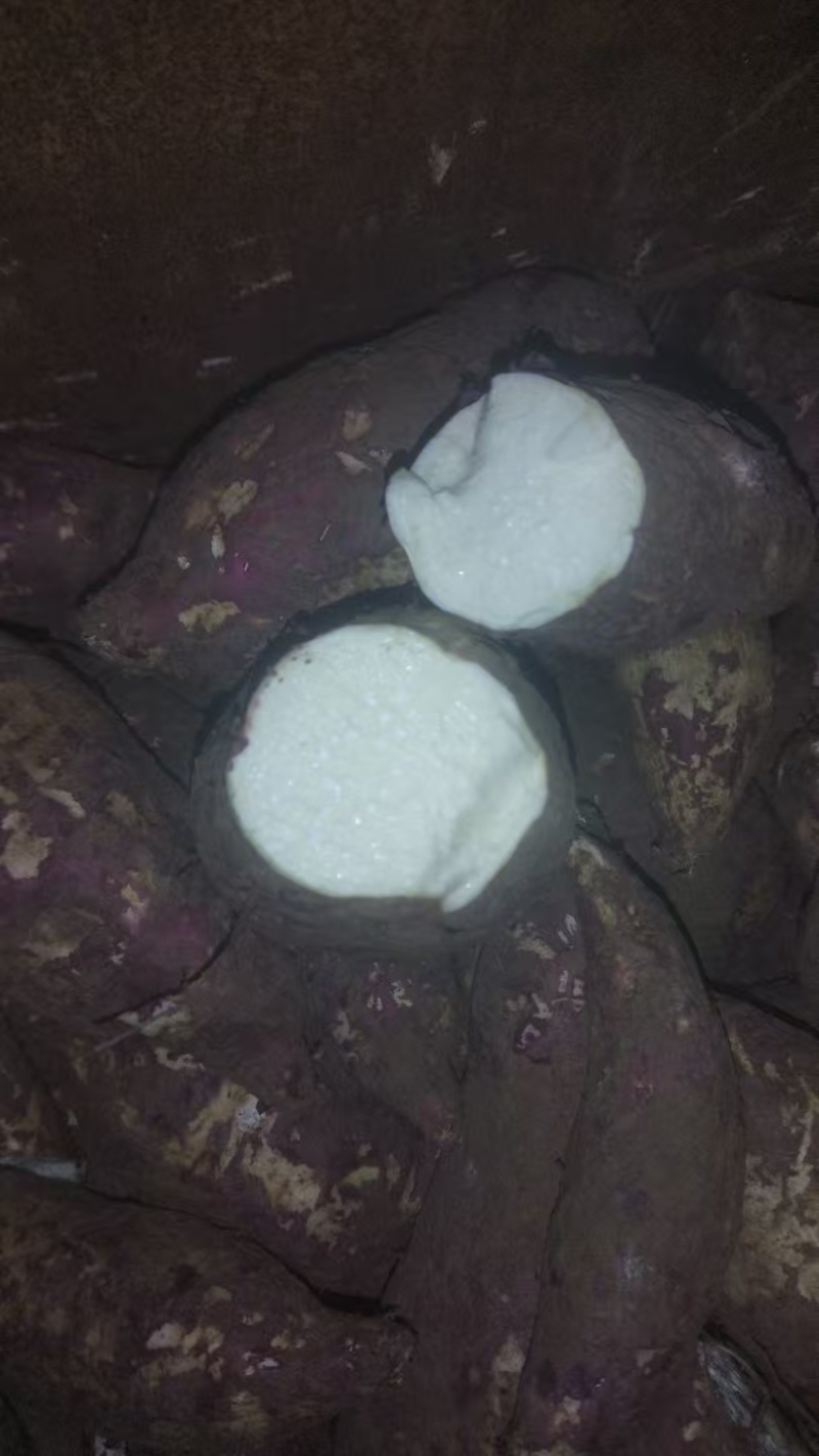 红薯淀粉，红薯粉一手货源价钱实惠保质保量供货