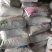 红薯粉安徽厂家直发保质保量供货价钱实惠