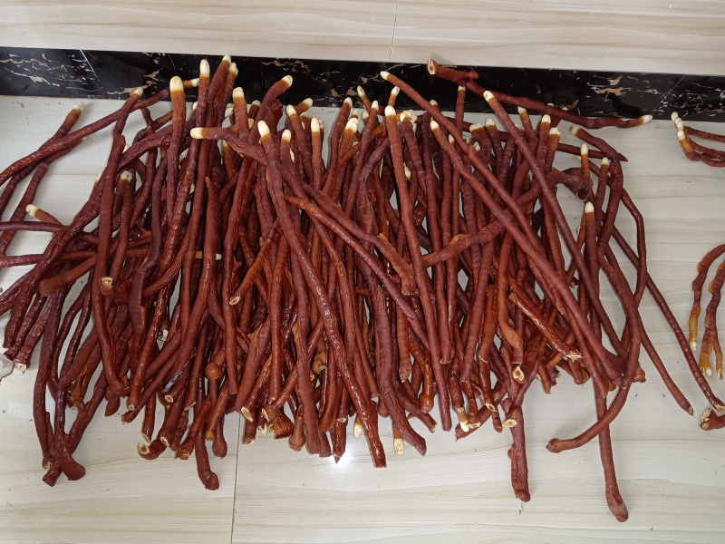 鹿角灵芝，一手货源，低价处理