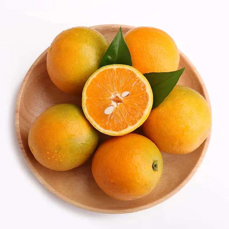 【精品秭归夏橙】湖北产地直供皮薄多汁质量保证全国发货