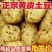 黄心土豆河南土豆大量现货供应，现挖现发，品质好，价格低