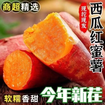 西瓜红河南红薯万亩基地直供，品质保证，实力代办，货发全国