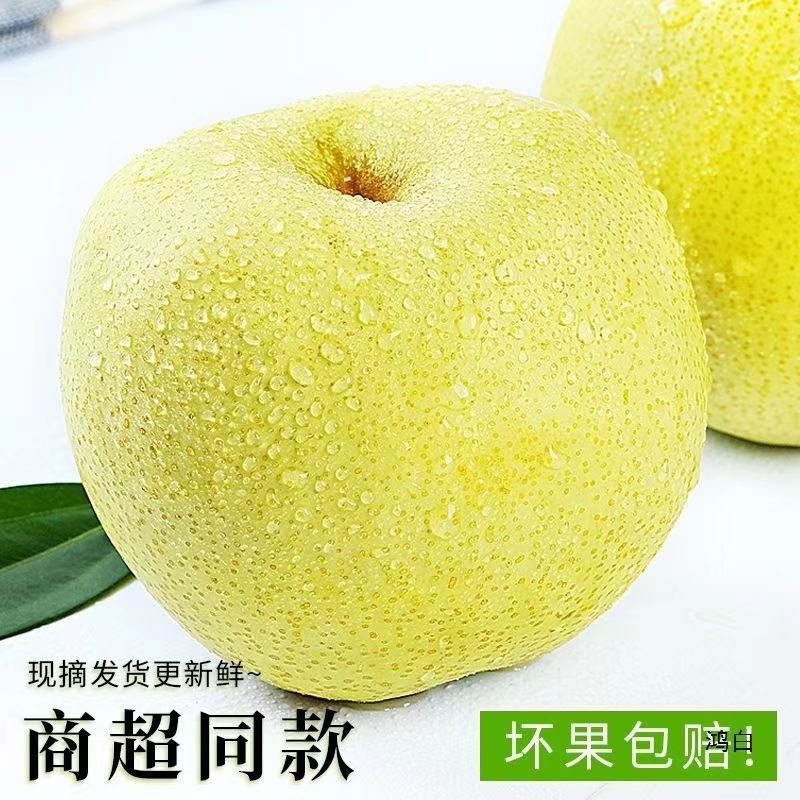 安徽酥梨产地一手货源，规格齐全，品质保证，可视频看货