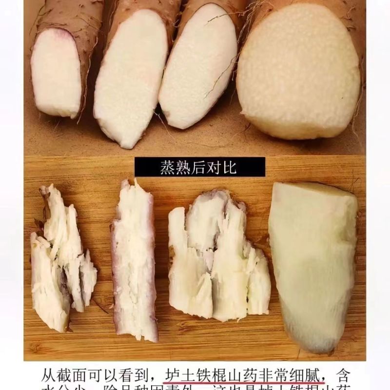 河南山药淮山药规格齐全，诚信经营，可视频看货代发全国