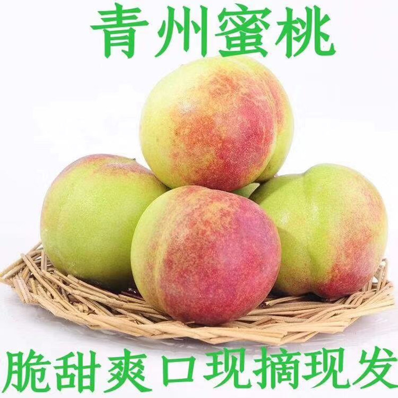 【青州蜜桃老树小冬桃】农家种植脆甜软糯非映霜红5新鲜水果