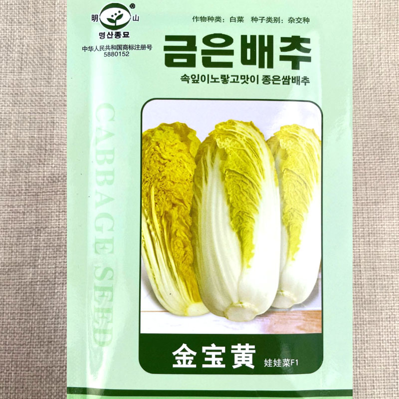 韩国金宝黄F1娃娃菜种子黄芯黄叶娃娃菜籽耐热寒蔬菜四季