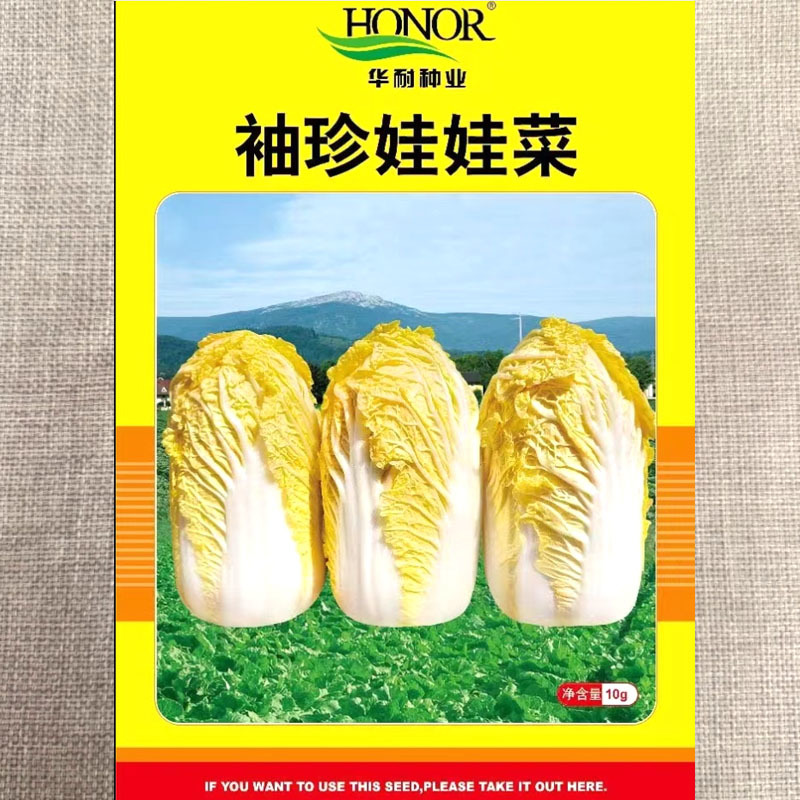 袖珍娃娃菜种子黄心小白菜种籽菜籽种孑春季夏秋冬蔬菜种子